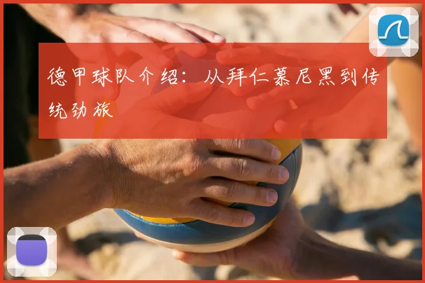 德甲球队介绍:从拜仁慕尼黑到传统劲旅