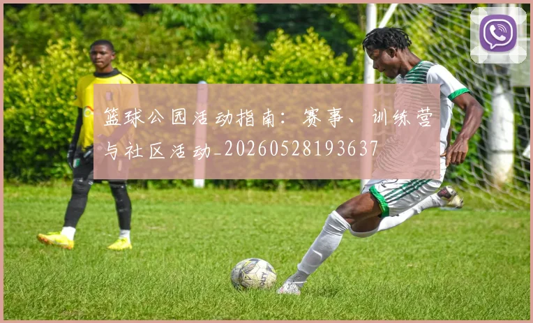 篮球公园活动指南：赛事、训练营与社区活动_20260528193637