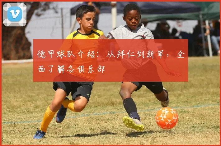 德甲球队介绍:从拜仁到新军,全面了解各俱乐部