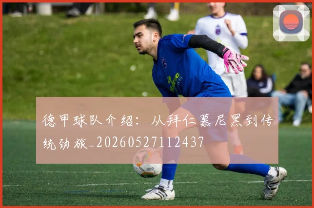 德甲球队介绍：从拜仁慕尼黑到传统劲旅_20260527112437